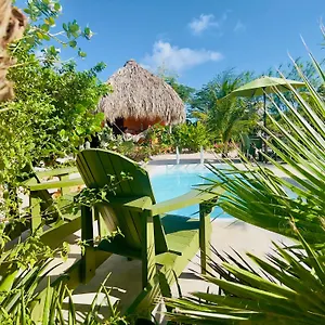 https://de-octopus.comcaribbean.com